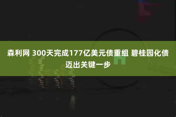 森利网 300天完成177亿美元债重组 碧桂园化债迈出关键一步