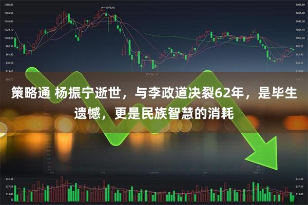 策略通 杨振宁逝世,与李政道决裂62年,是毕生遗憾,更是民族智慧的消耗