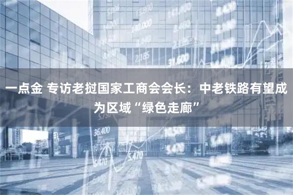 一点金 专访老挝国家工商会会长:中老铁路有望成为区域“绿色走廊”