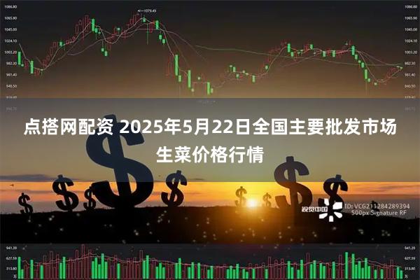 点搭网配资 2025年5月22日全国主要批发市场生菜价格行情