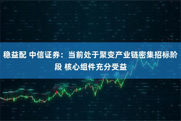 稳益配 中信证券：当前处于聚变产业链密集招标阶段 核心组件充分受益