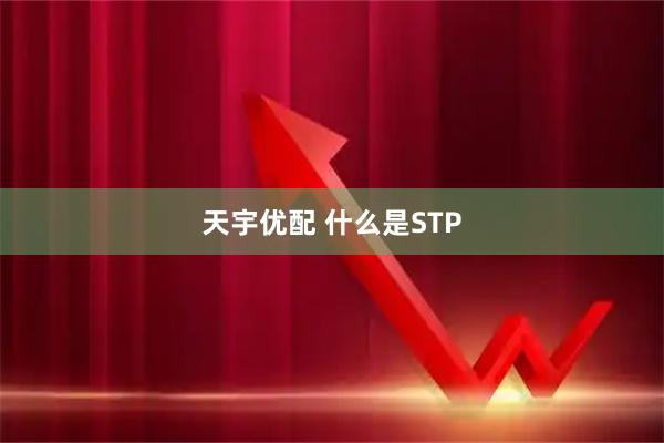 天宇优配 什么是STP