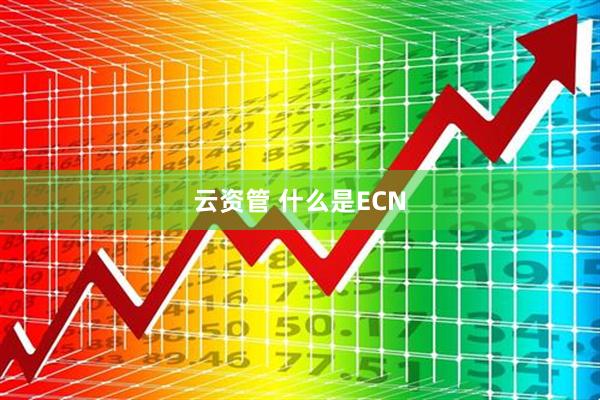 云资管 什么是ECN