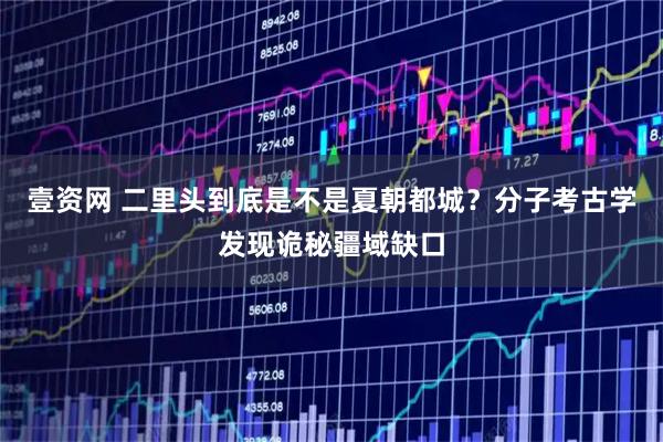 壹资网 二里头到底是不是夏朝都城？分子考古学发现诡秘疆域缺口