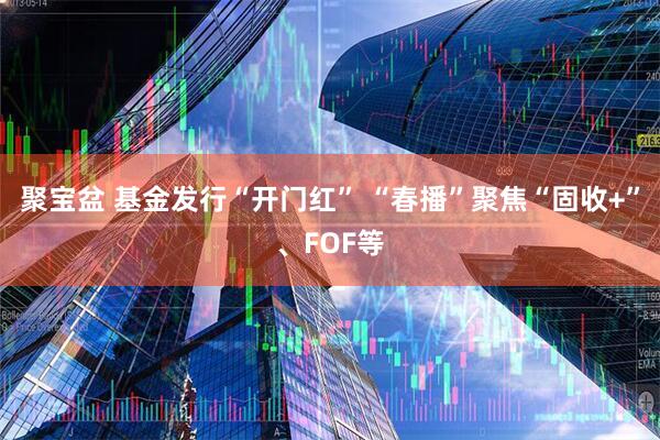 聚宝盆 基金发行“开门红” “春播”聚焦“固收+”、FOF等